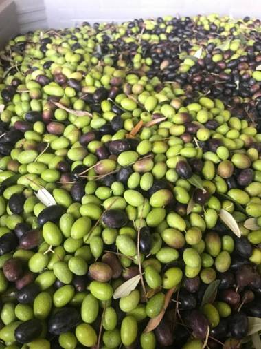 Relais Montemaggiore