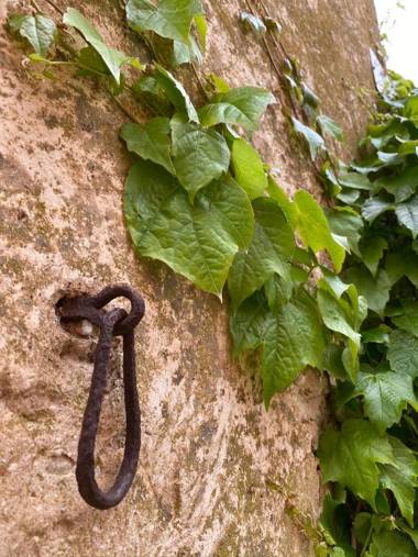 Palazzo del Papa Country Suites