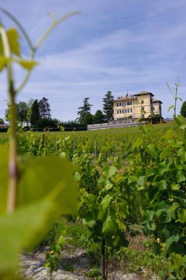 Hotel Villa La Bollina