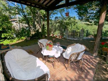 Typical little Italian property in the middle of fruit trees.