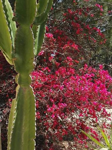 Villa del Mar Scopello