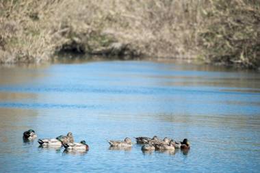 VILLA GIUMMARITO B&B