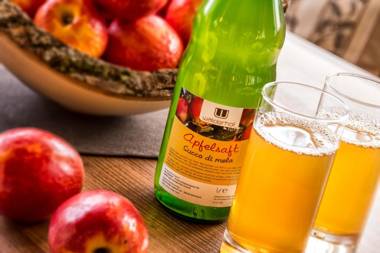 Ferienwohnung Walderhof Natz