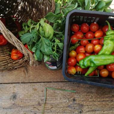 BfB Residence San Marco