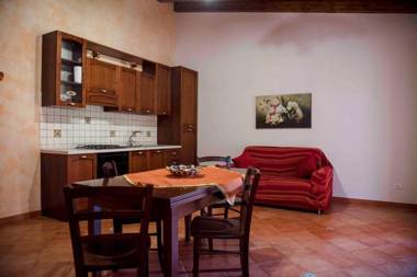 House surrounded by olive trees