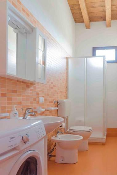 House surrounded by olive trees