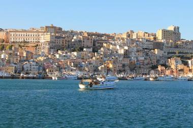 House surrounded by olive trees