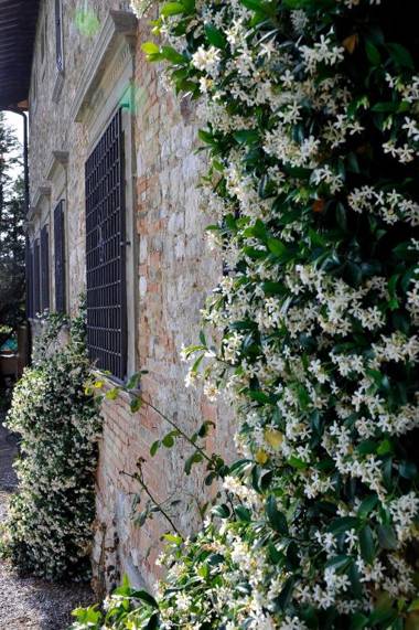 Villa Medicea Lo Sprocco