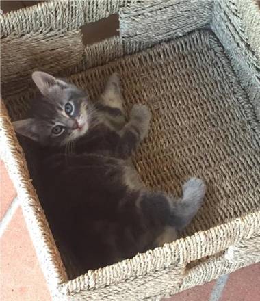 Agriturismo Le Cascatelle