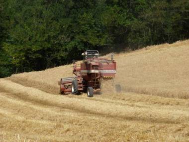 Agriturismo Rio Verde