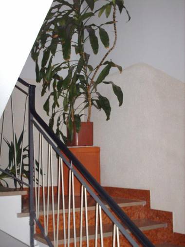 Hotel Triana e Tyche