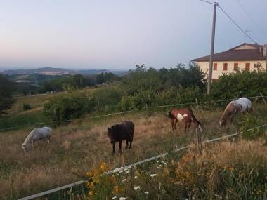 Agriturismo Piccola Raieda