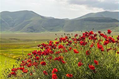 Villa La Quercia-Dalia