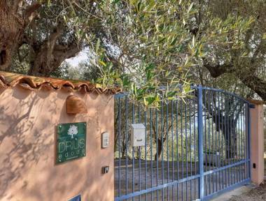 Driùs edodè - b&b affittacamere