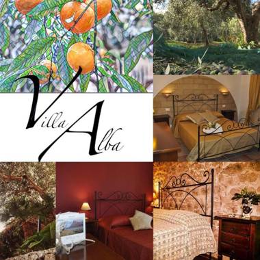 B&B Villa Alba