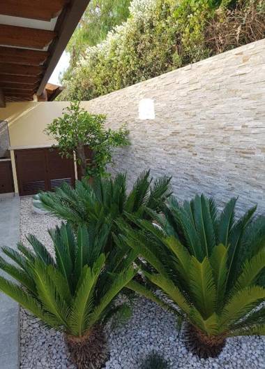 B&B Aloe Comfort Rooms