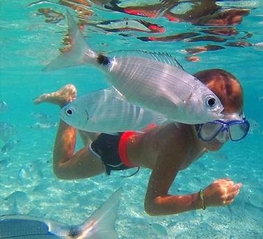 3 bedrooms house with sea view enclosed garden and wifi at San Vito Lo Capo 1 km away from the beach