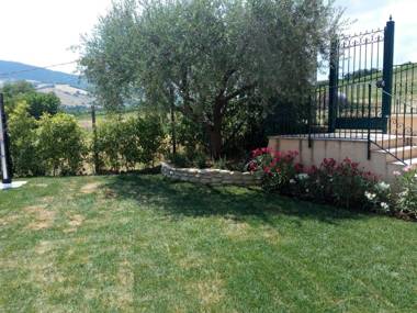 Le Vigne di Clementina Fabi