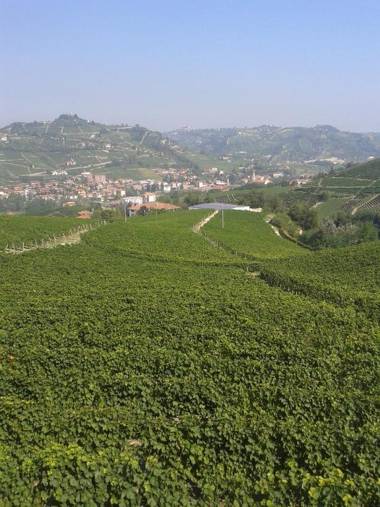 Agriturismo Ai Piacentini