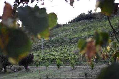 Eno-Agriturismo Cascina L'Arché