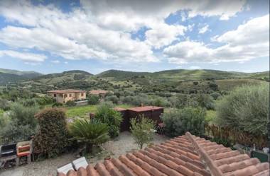 Vacanza a San Teodoro