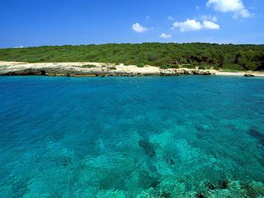 Residence Quattrocolonne