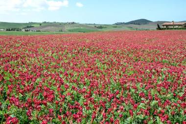 Agriturismo L'impero
