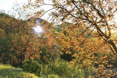 Agriturismo Malvista
