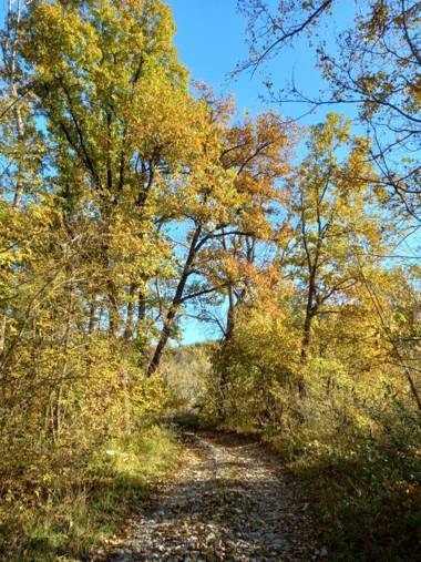 Agriturismo Malvista