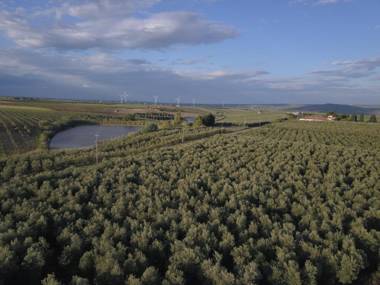 Colonna Country Home