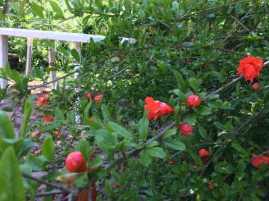 Country House Villa Sabrina