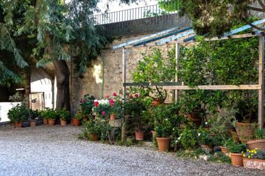 Fattoria Guicciardini