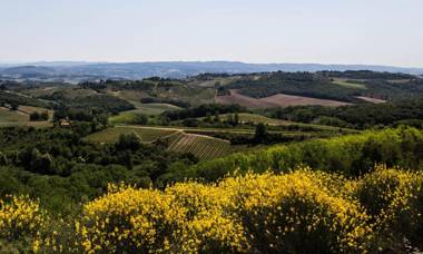 Il Borghetto Tuscan Holidays