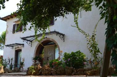 Azienda Agricola Polveraia