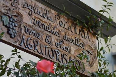 Azienda Agricola Polveraia