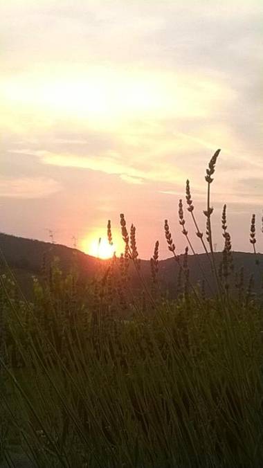 Podere Montese Country House