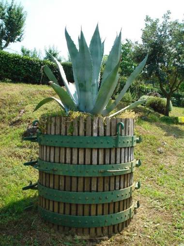 Agriturismo la Vigna