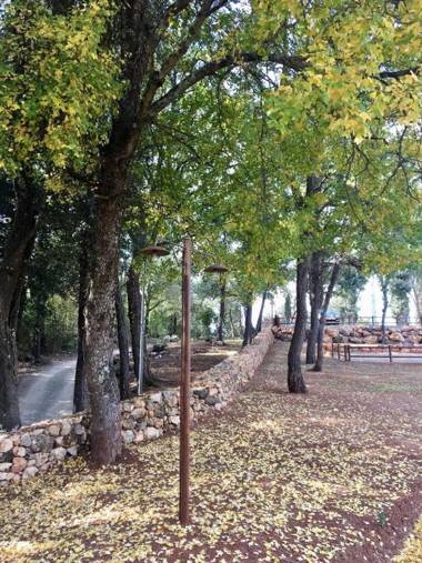 La Tenuta di Castelvecchio