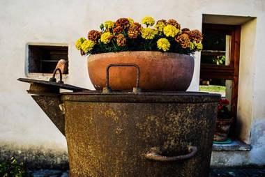 Bio-Agriturismo La Ginestra