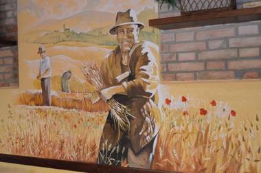 Agriturismo Il Colore del Grano