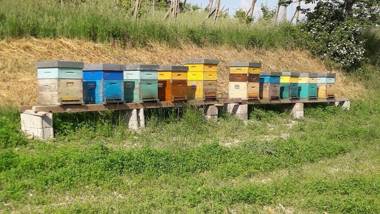 Agriturismo Il Colore del Grano