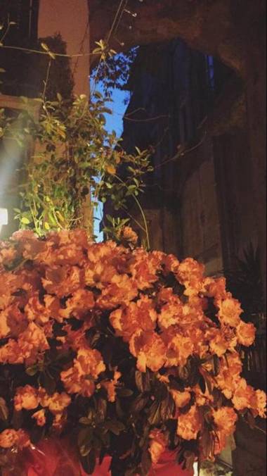 Bed & Books il Campanile