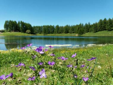 A' la Table du Sommelier