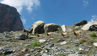 A' la Table du Sommelier
