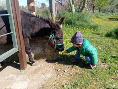 Agriturismo Poggio Ferrata