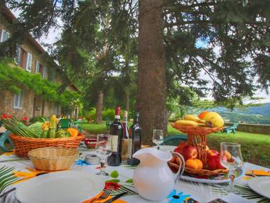 Charming cottage in a wing of an old vineyard on an estate