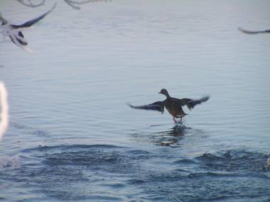 Agriturismo Le Risaie