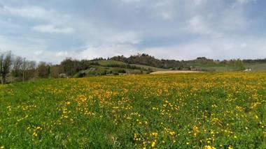 Le Spighe Agriturismo