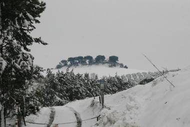 Tenuta Agricola Fonte Di Papa