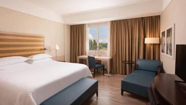 Sheraton Parco De' Medici Rome Hotel